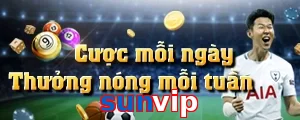 sunvip